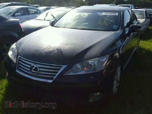 2010 LEXUS ES350 - VIN: JTHBK1EG8A2359437 - Фото 2