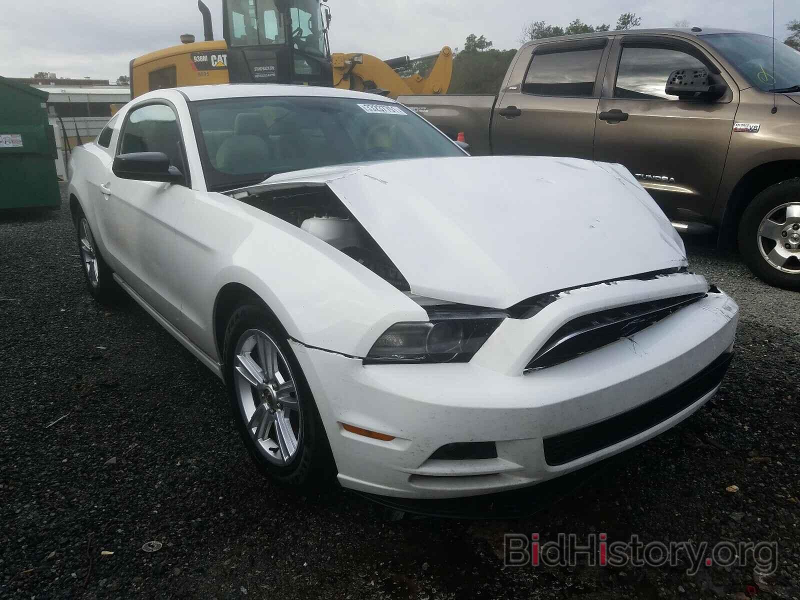 Photo 1ZVBP8AM9E5233080 - FORD MUSTANG 2014