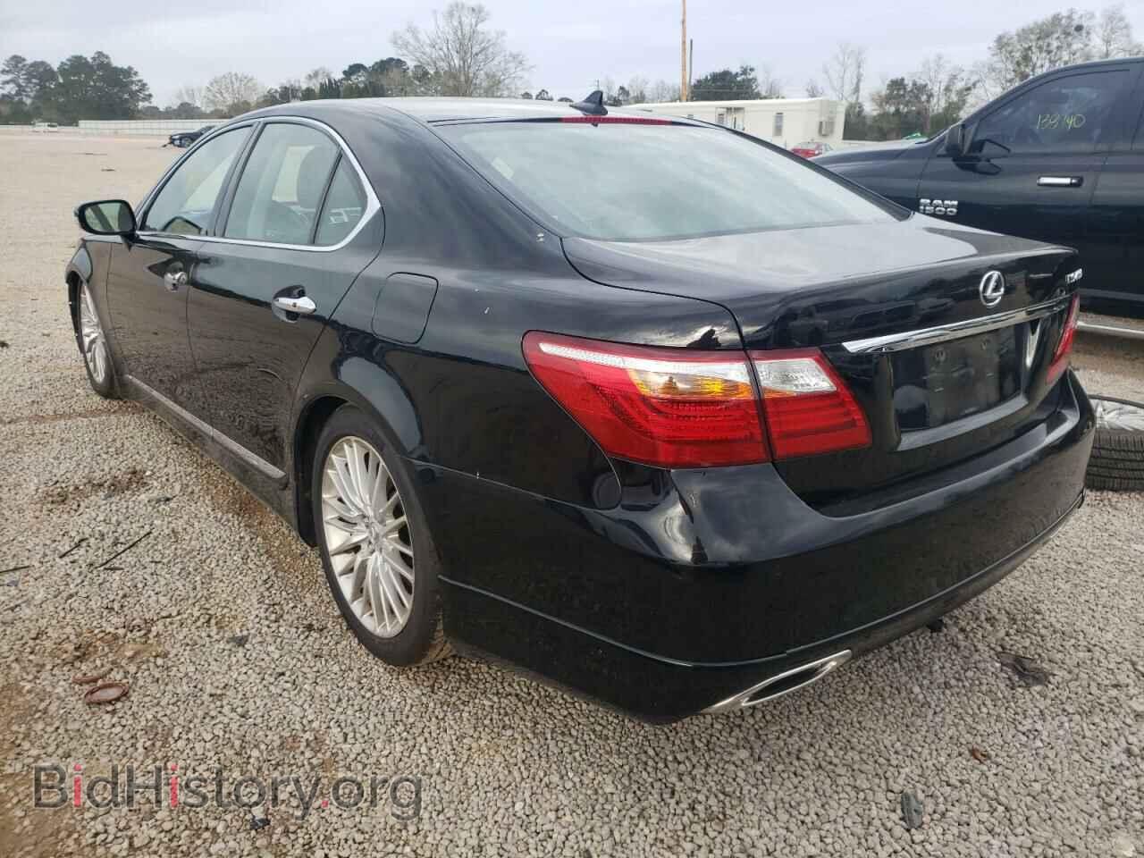 2011 LEXUS LS460 - VIN: JTHBL5EF9B5105585 - Фото 3