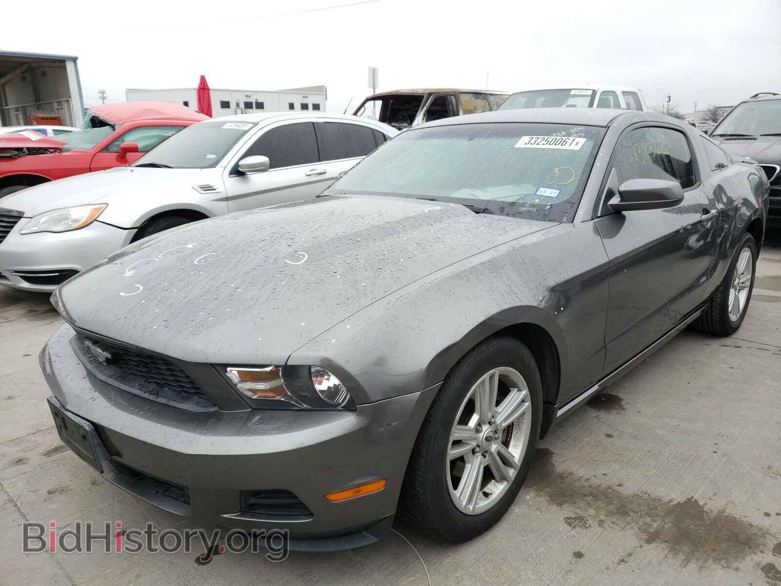 2010 FORD MUSTANG - VIN: 1ZVBP8AN9A5157766 - Фото 2