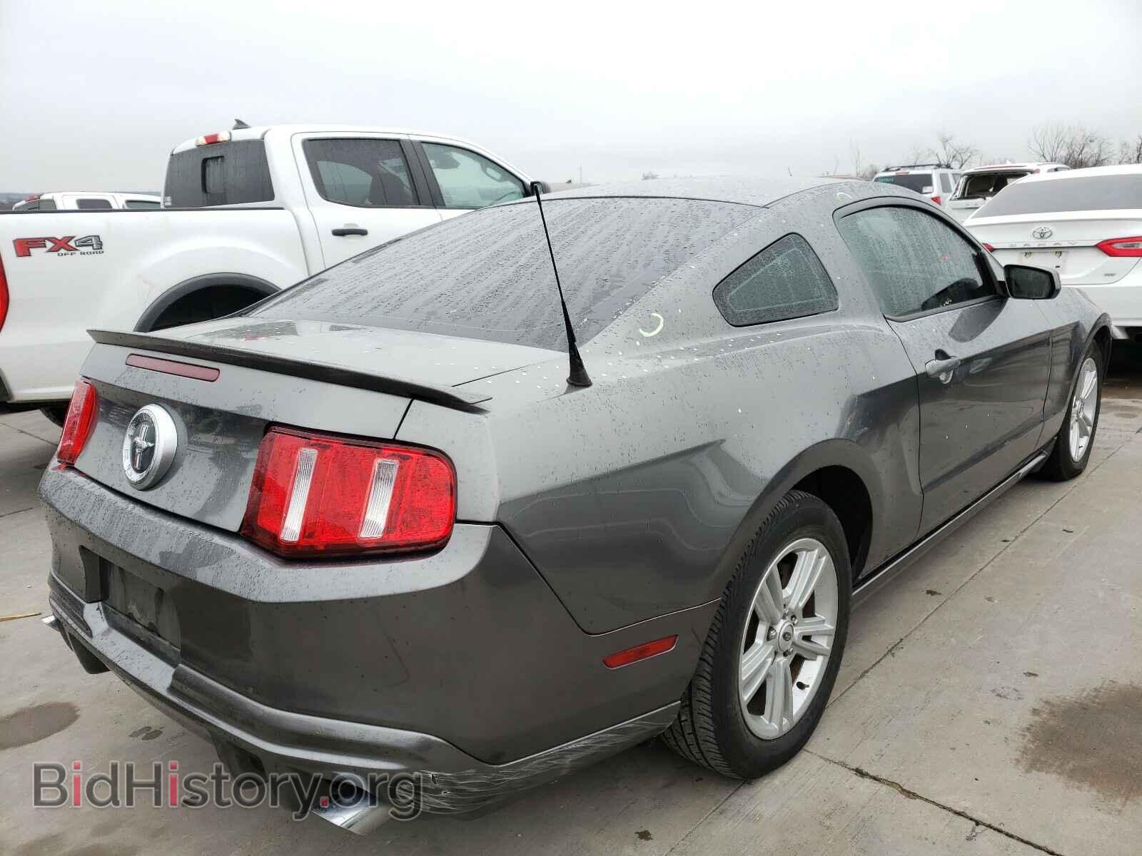 2010 FORD MUSTANG - VIN: 1ZVBP8AN9A5157766 - Фото 4