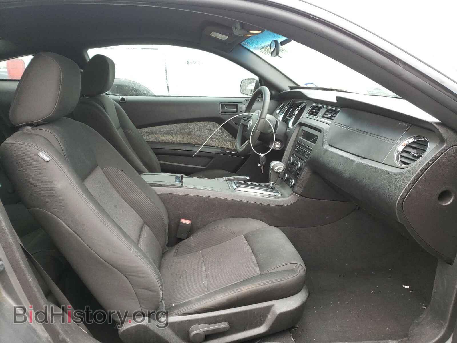 2010 FORD MUSTANG - VIN: 1ZVBP8AN9A5157766 - Фото 5