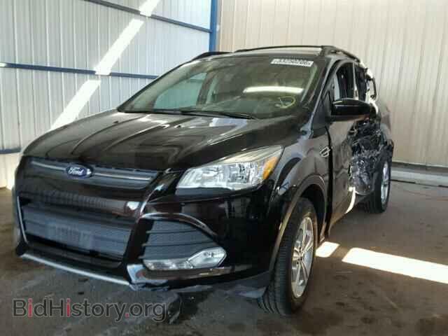 2013 FORD ESCAPE - VIN: 1FMCU0GX9DUC83531 - Фото 2