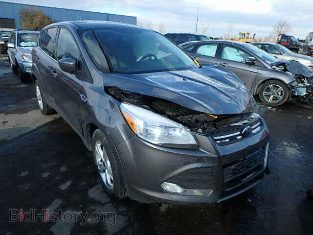 Photo 1FMCU0GX4DUC52204 - FORD ESCAPE 2013