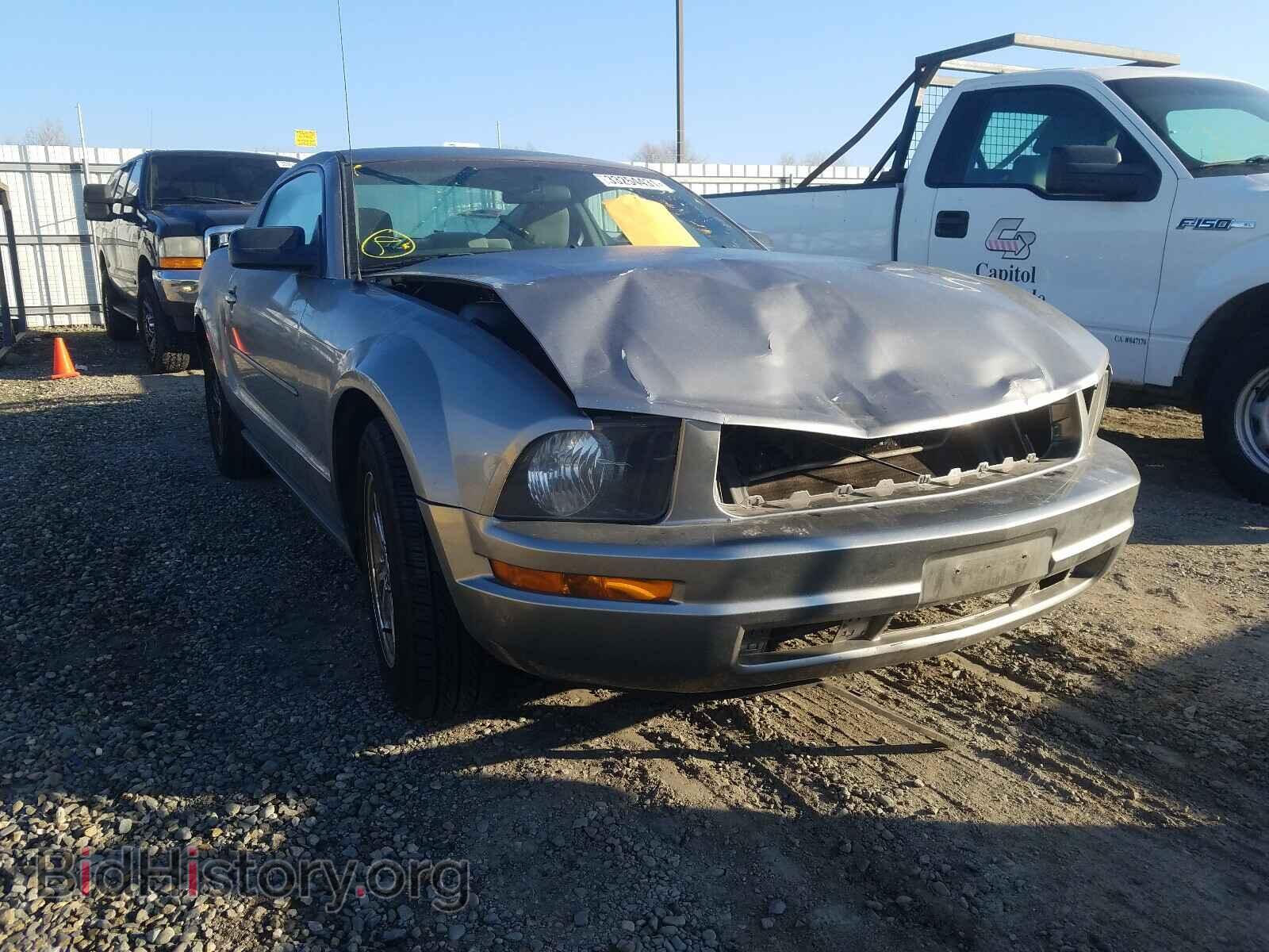 Photo 1ZVHT80N985108259 - FORD MUSTANG 2008