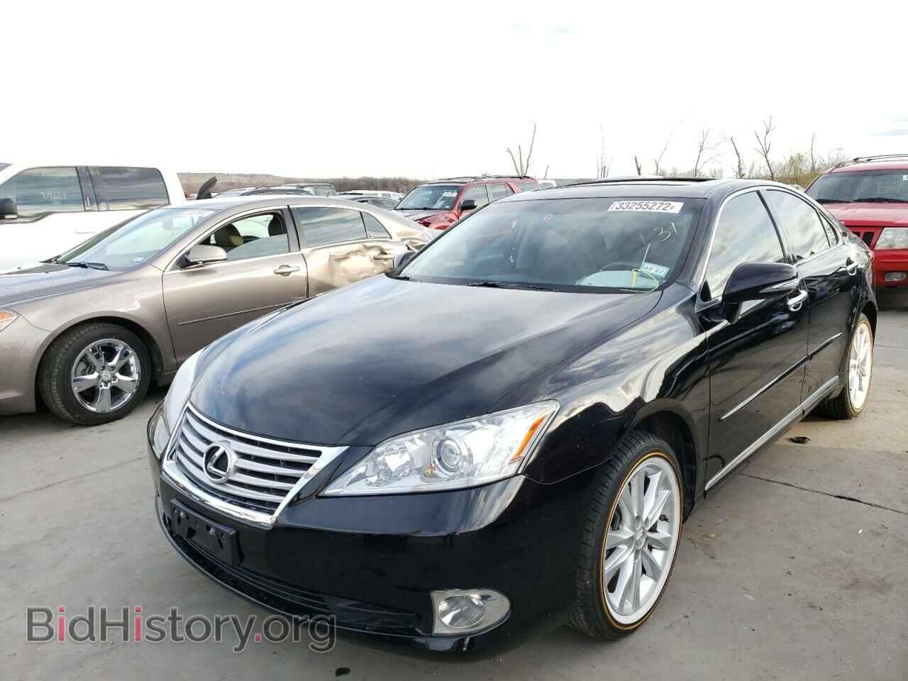 2010 LEXUS ES350 - VIN: JTHBK1EG2A2410835 - Фото 2
