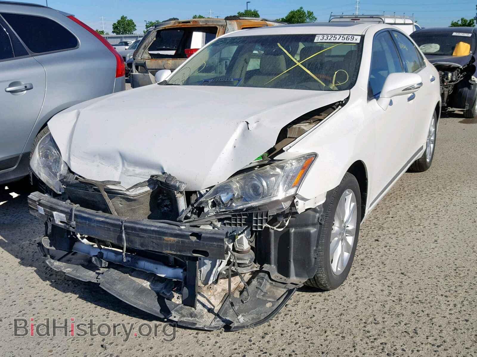 2011 LEXUS ES350 - VIN: JTHBK1EG9B2446684 - Фото 2