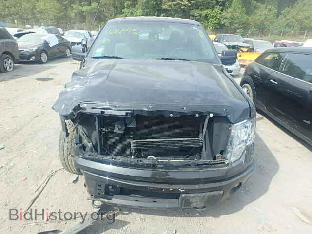 2013 FORD F150 - VIN: 1FTFX1EFXDFA70844 - Фото 10