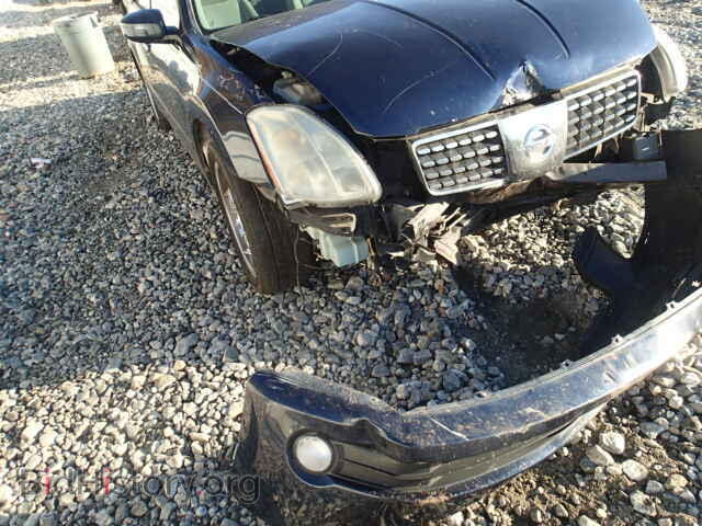 2005 NISSAN MAXIMA - VIN: 1N4BA41E45C858929 - Фото 10