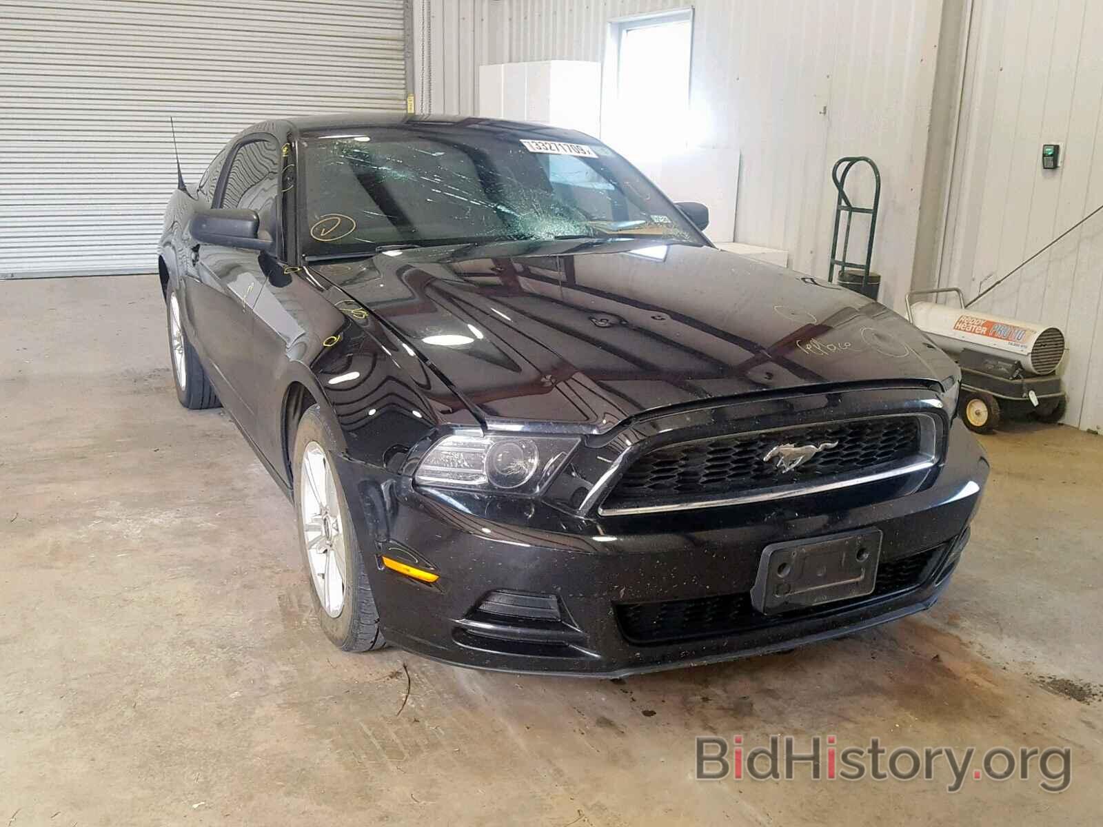 Photo 1ZVBP8AM0E5215003 - FORD MUSTANG 2014