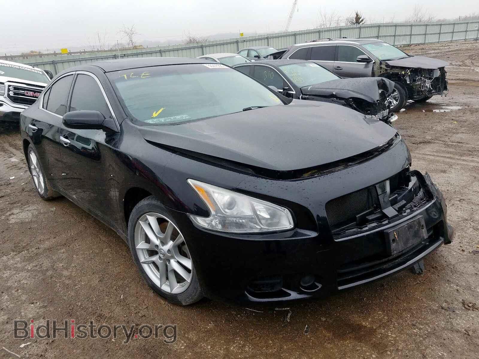 Фотография 1N4AA5AP7BC856851 - NISSAN MAXIMA 2011