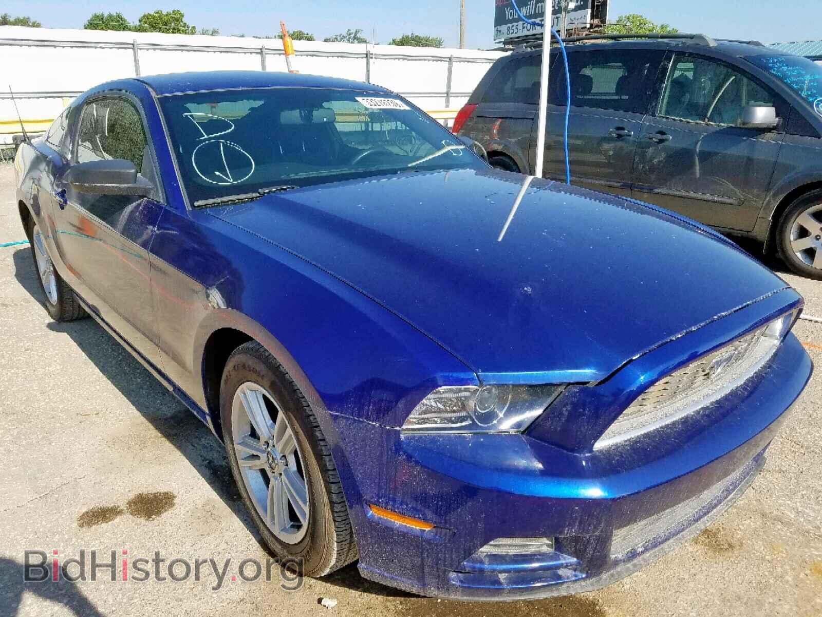 Photo 1ZVBP8AM8D5258972 - FORD MUSTANG 2013