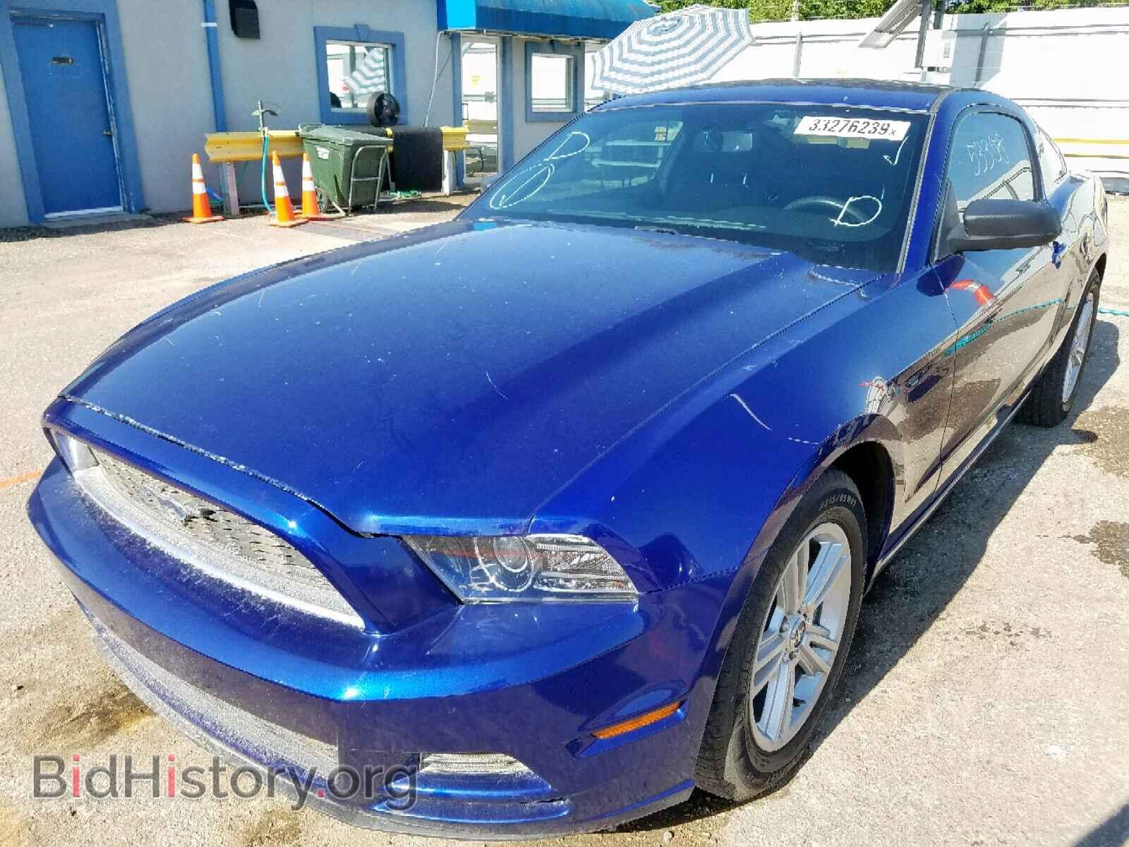 2013 FORD MUSTANG - VIN: 1ZVBP8AM8D5258972 - Фото 2