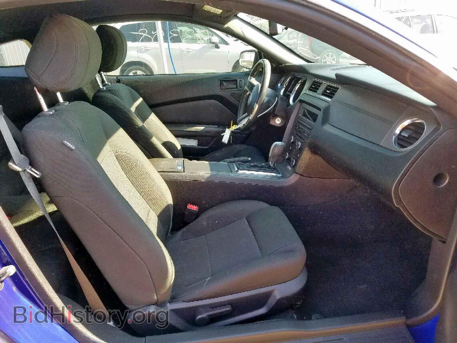 2013 FORD MUSTANG - VIN: 1ZVBP8AM8D5258972 - Фото 5