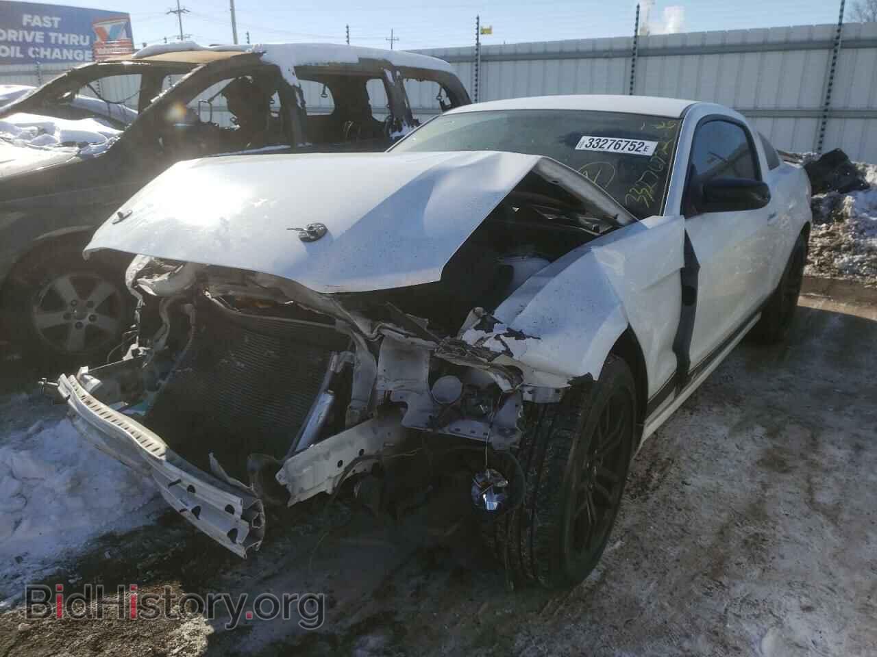 2013 FORD MUSTANG - VIN: 1ZVBP8AM4D5265496 - Фото 2