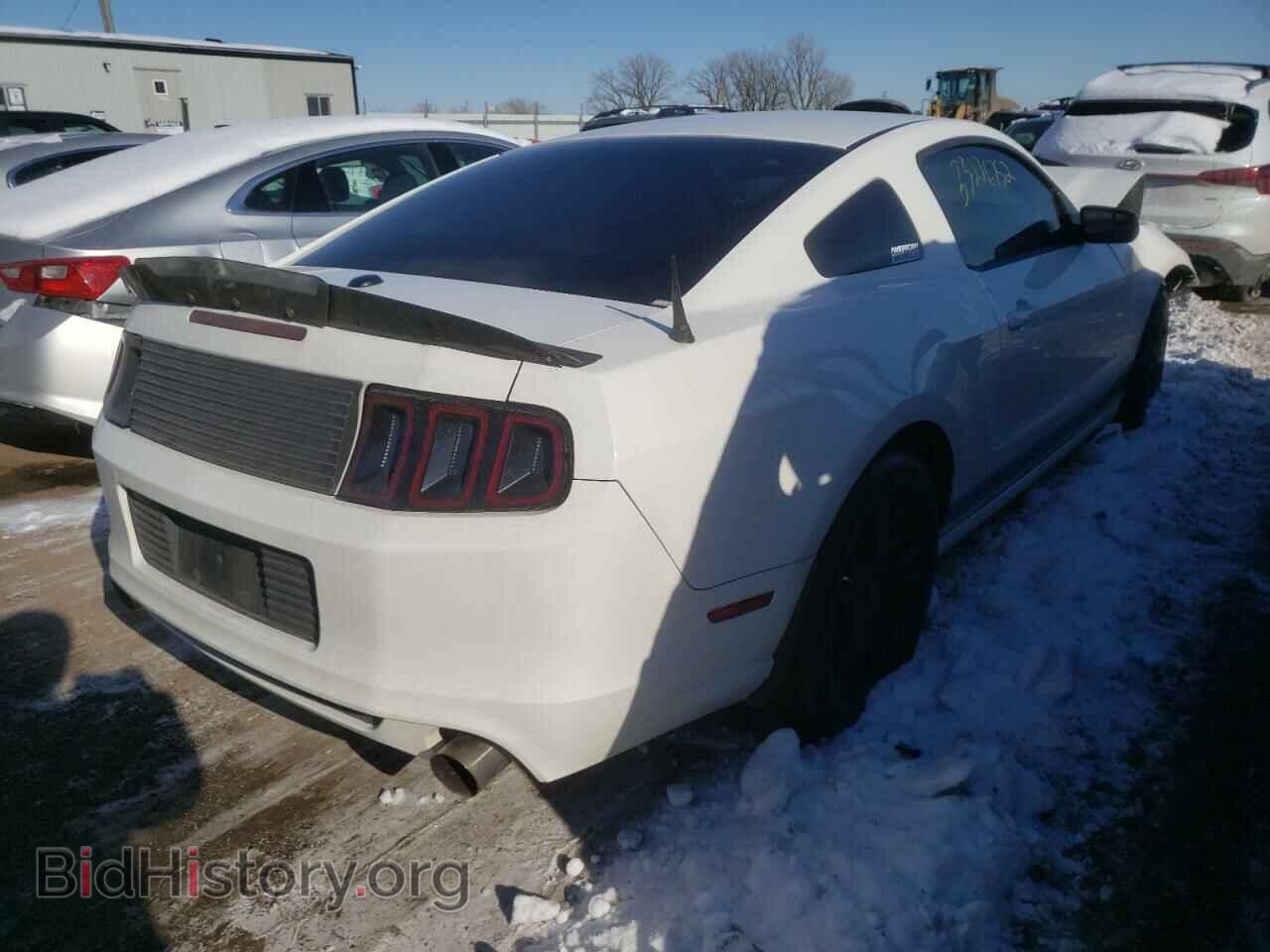 2013 FORD MUSTANG - VIN: 1ZVBP8AM4D5265496 - Фото 4