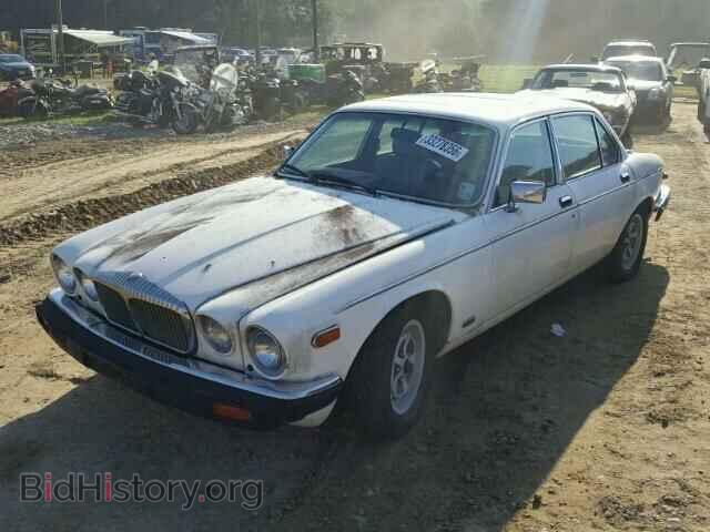 1986 JAGUAR XJS - VIN: SADDCPLT4CC443436 - Фото 2