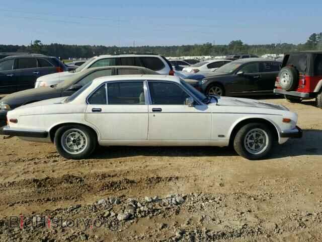 1986 JAGUAR XJS - VIN: SADDCPLT4CC443436 - Фото 10