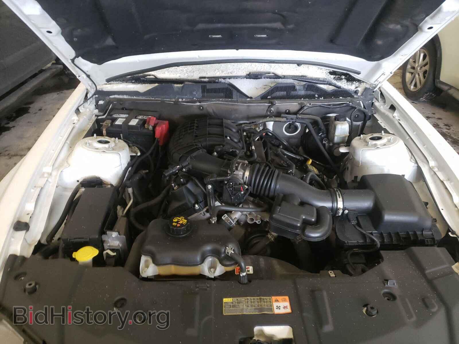 2013 FORD MUSTANG - VIN: 1ZVBP8AM3D5251427 - Фото 7