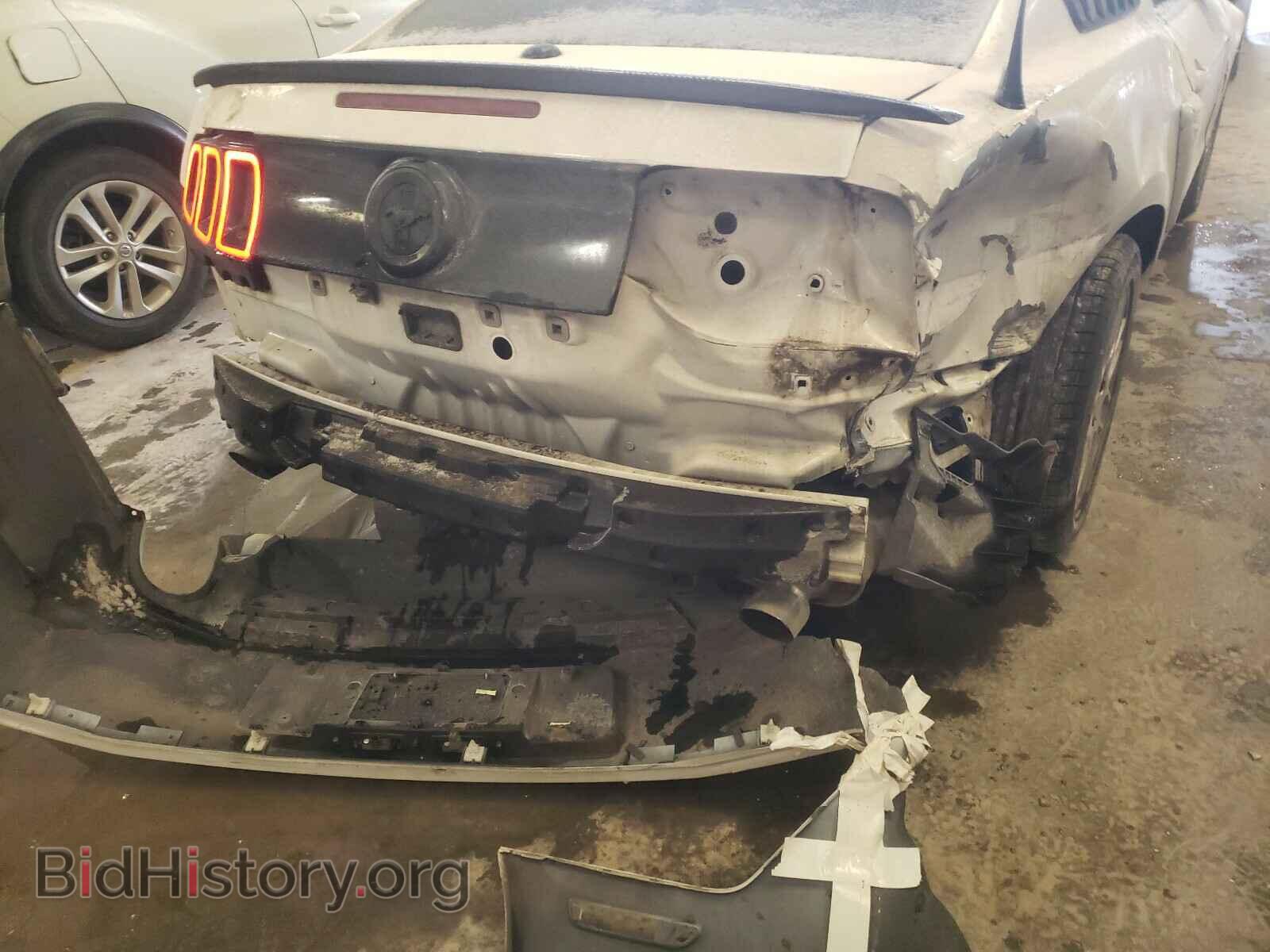 2013 FORD MUSTANG - VIN: 1ZVBP8AM3D5251427 - Фото 9