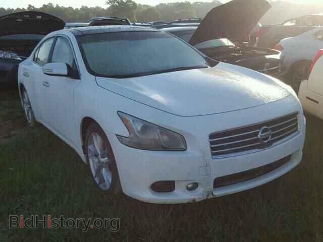 Фотография 1N4AA5AP7BC817371 - NISSAN MAXIMA 2011