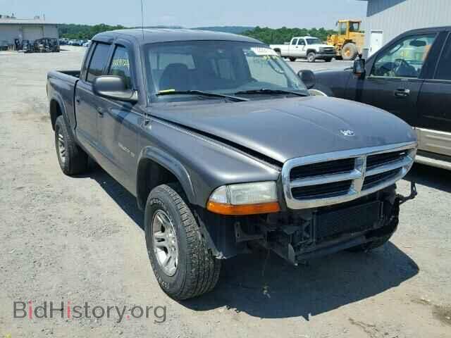 Photo 1B7HG48N32S620306 - DODGE DAKOTA 2002