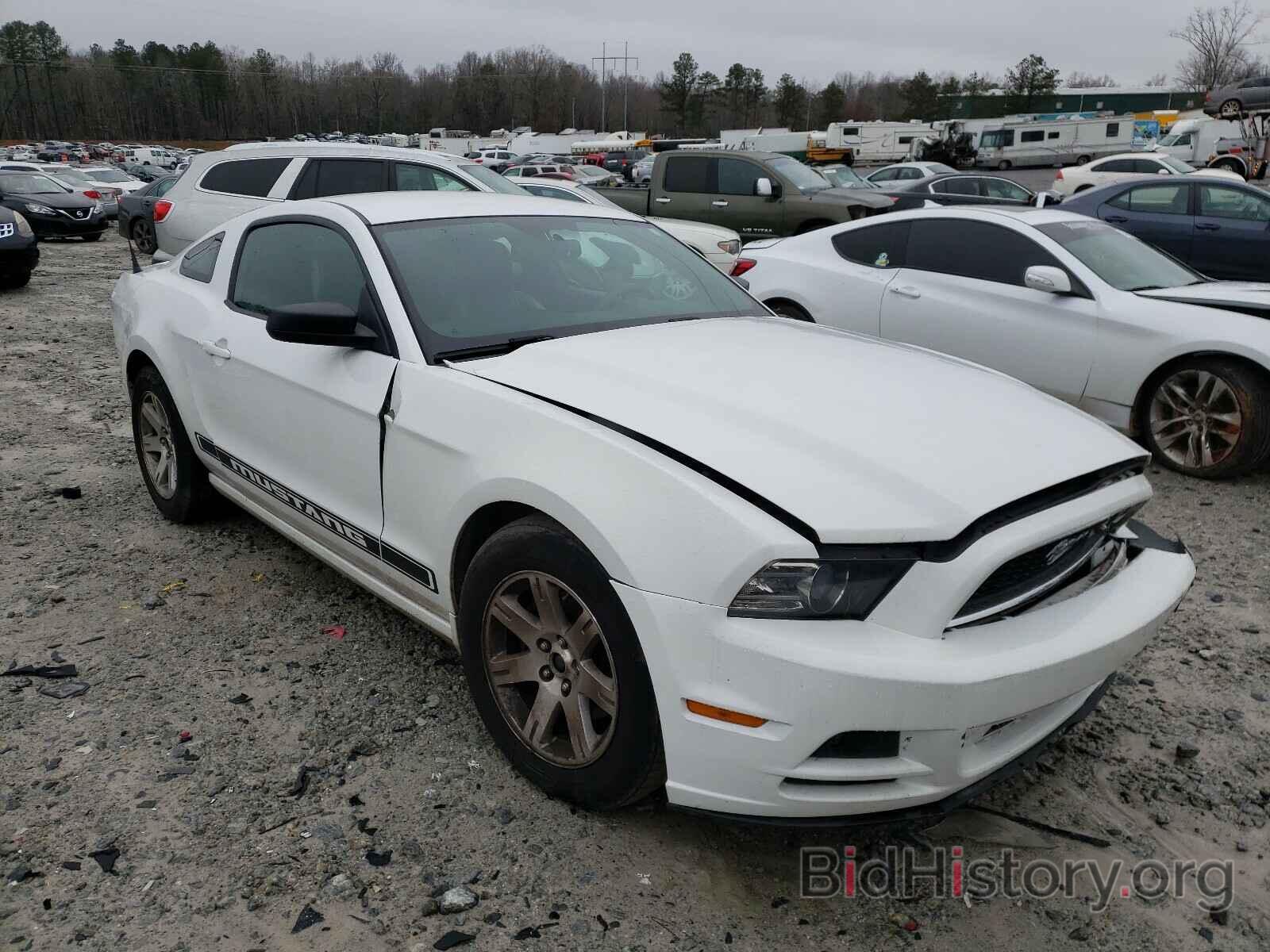 Photo 1ZVBP8AM7E5251481 - FORD MUSTANG 2014