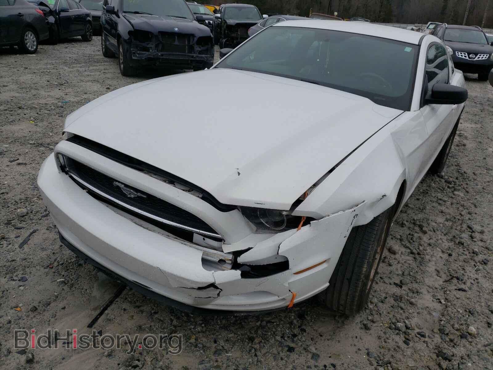 2014 FORD MUSTANG - VIN: 1ZVBP8AM7E5251481 - Фото 9