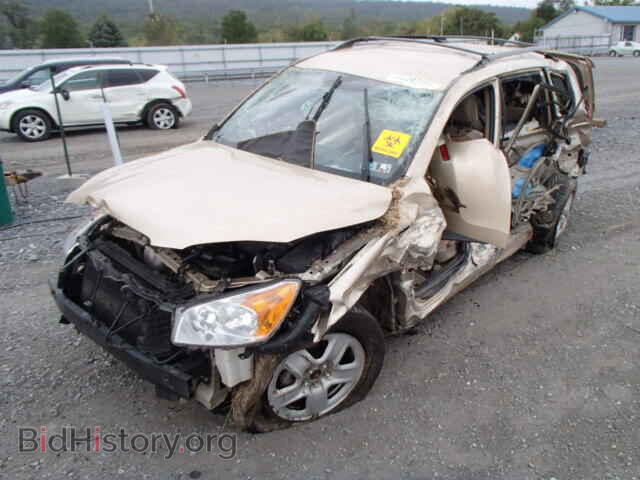 2011 TOYOTA RAV4 - VIN: 2T3BF4DV2BW142756 - Фото 2