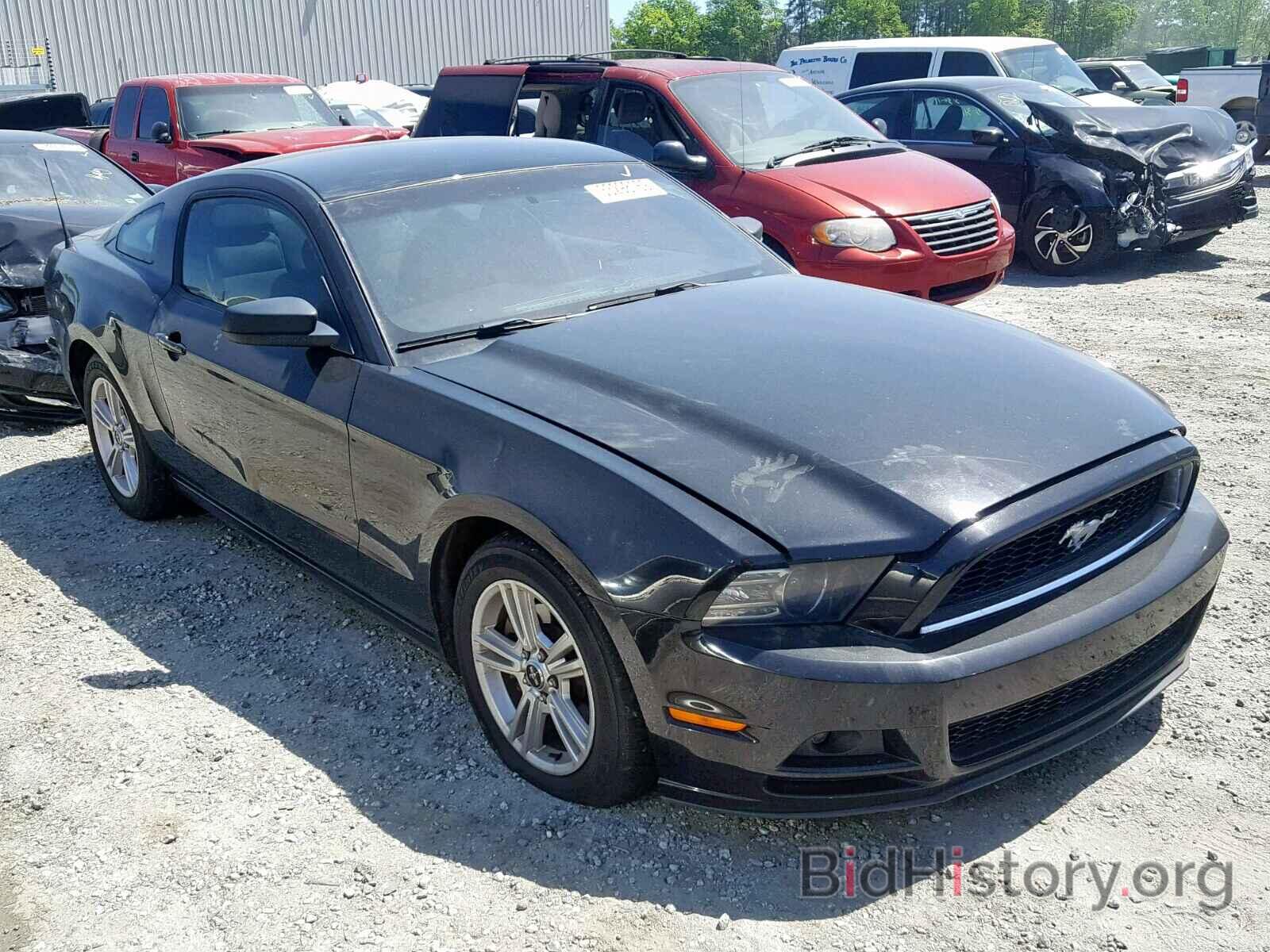 Photo 1ZVBP8AM2E5314194 - FORD MUSTANG 2014