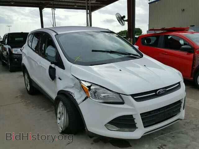 Photo 1FMCU0GX3DUC38410 - FORD ESCAPE 2013