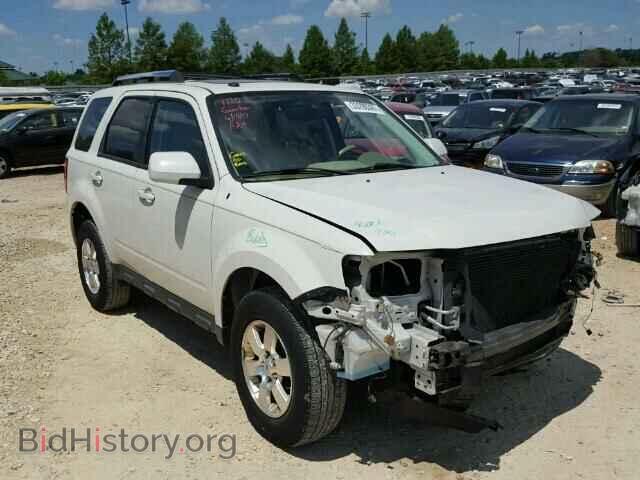 Photo 1FMCU0EG7BKB66221 - FORD ESCAPE 2011