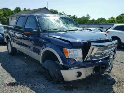 2010 Ford F150, blue — VIN 1FTFW1EV6AFD63260, Copart