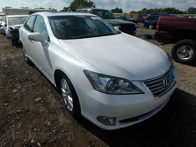Photo JTHBK1EG9A2367546 - LEXUS ES350 2010
