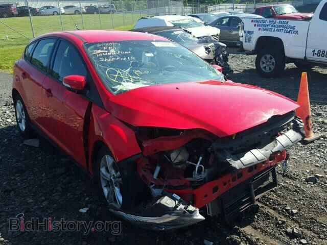 Photo 1FADP3K26DL341586 - FORD FOCUS 2013