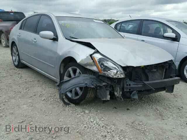 Photo 1N4BA41E37C823964 - NISSAN MAXIMA 2007