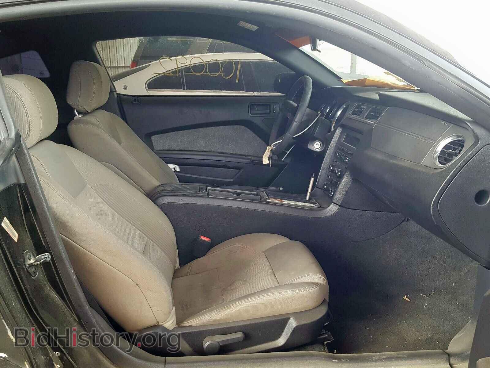 2012 FORD MUSTANG - VIN: 1ZVBP8CF7C5256319 - Фото 5