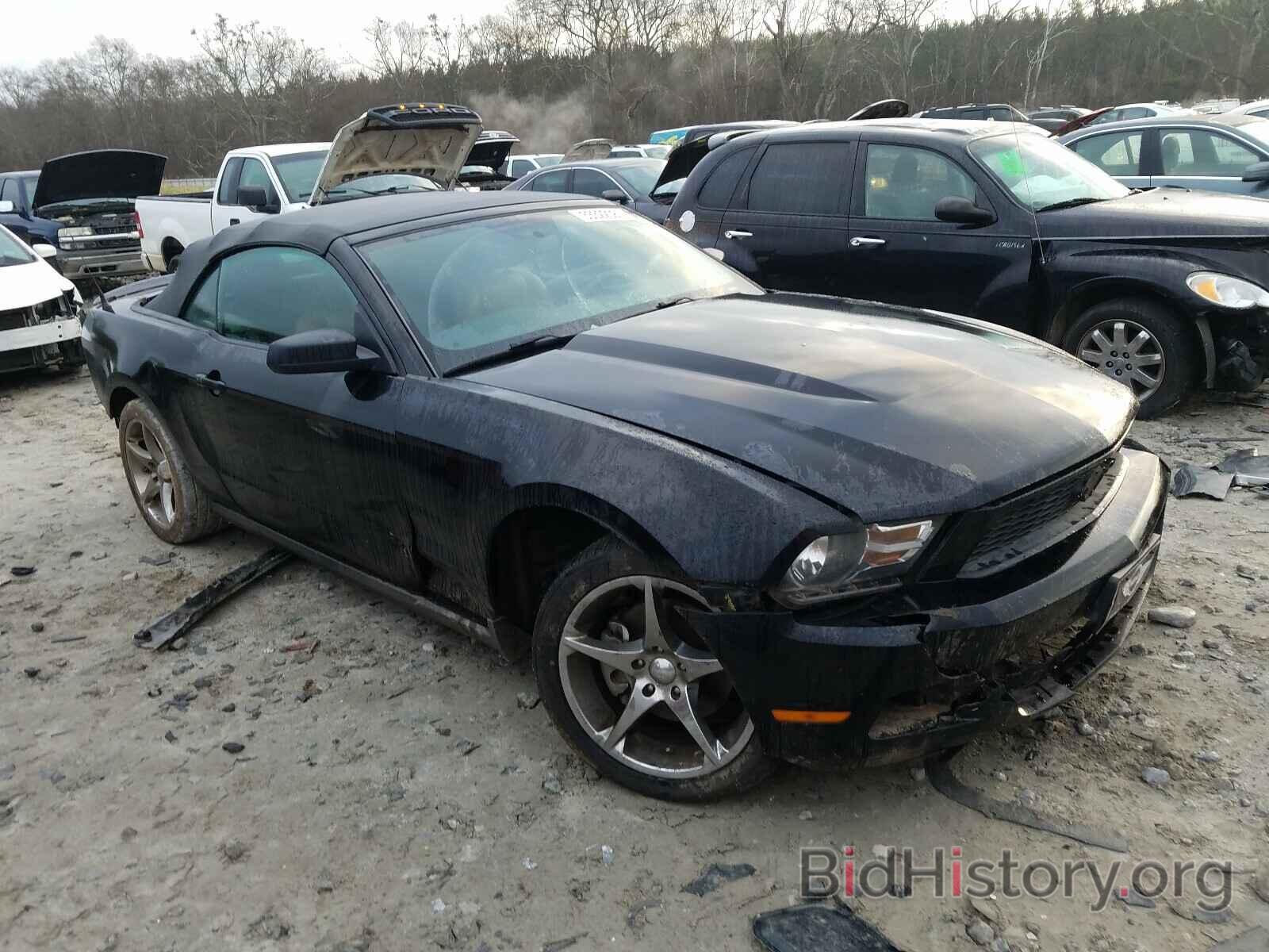 Photo 1ZVBP8EM2B5126717 - FORD MUSTANG 2011