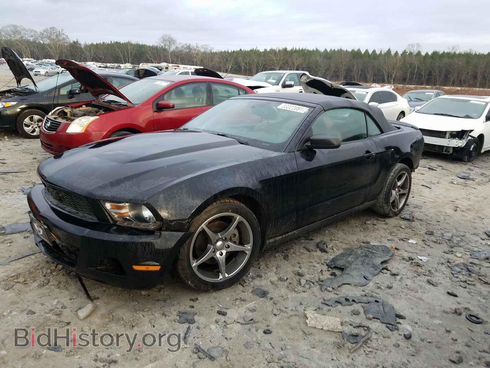 2011 FORD MUSTANG - VIN: 1ZVBP8EM2B5126717 - Фото 2