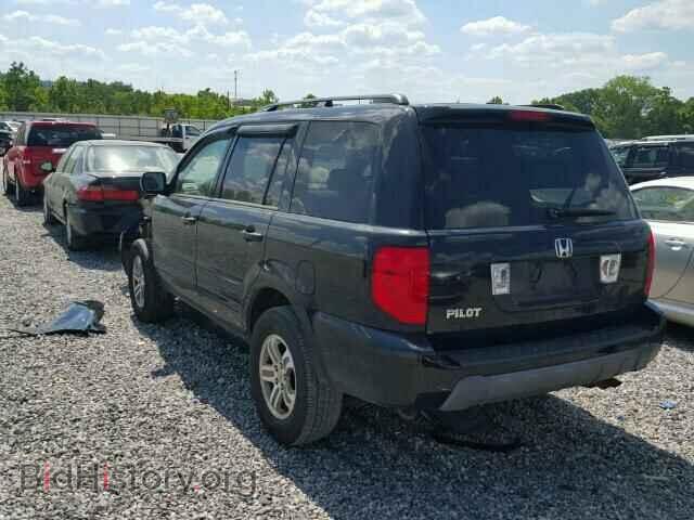 2005 HONDA PILOT - VIN: 5FNYF18545B055647 - Фото 3