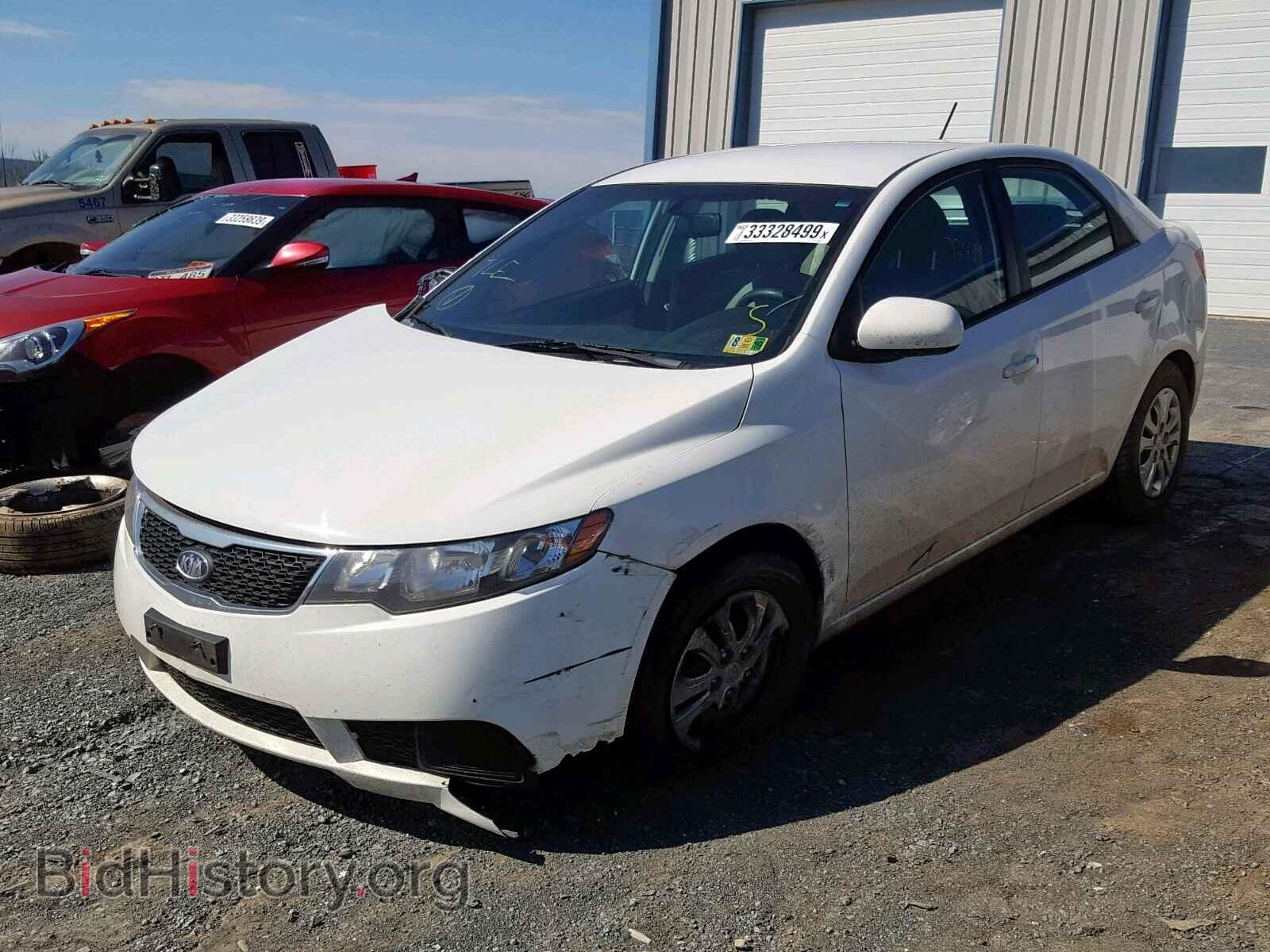 2012 KIA FORTE - VIN: KNAFT4A25C5635518 - Фото 2