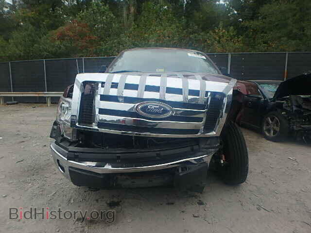 2010 FORD F150 - VIN: 1FTFX1EV7AFD74555 - Фото 9