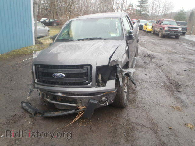 2013 FORD F150 - VIN: 1FTFX1EF0DFD79156 - Фото 2