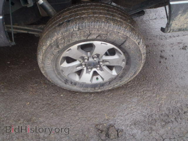 2013 FORD F150 - VIN: 1FTFX1EF0DFD79156 - Фото 9