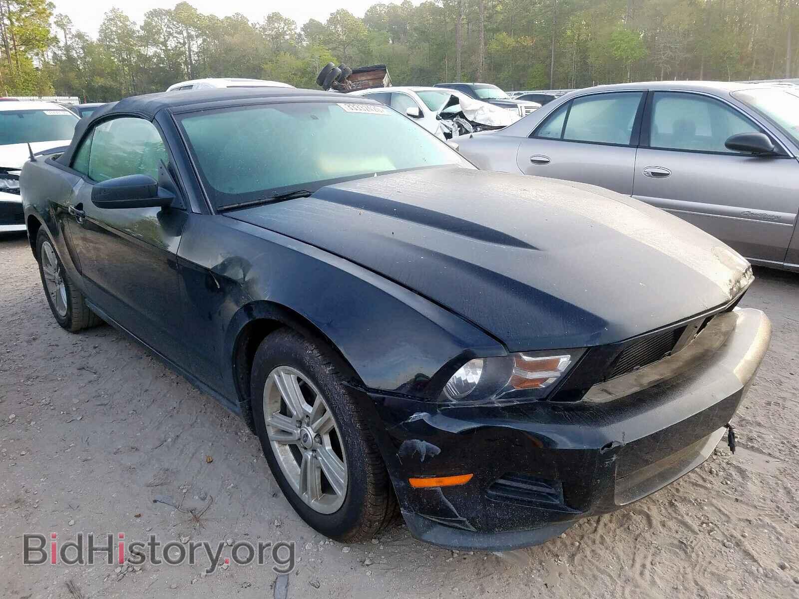 Photo 1ZVBP8EM9B5116721 - FORD MUSTANG 2011