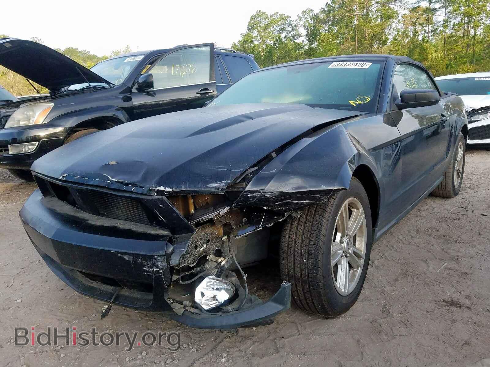 2011 FORD MUSTANG - VIN: 1ZVBP8EM9B5116721 - Фото 2
