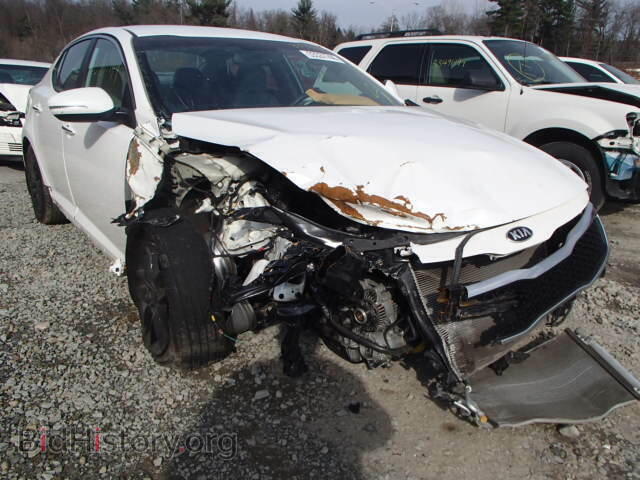 Photo KNAGM4A72D5345929 - KIA OPTIMA 2013