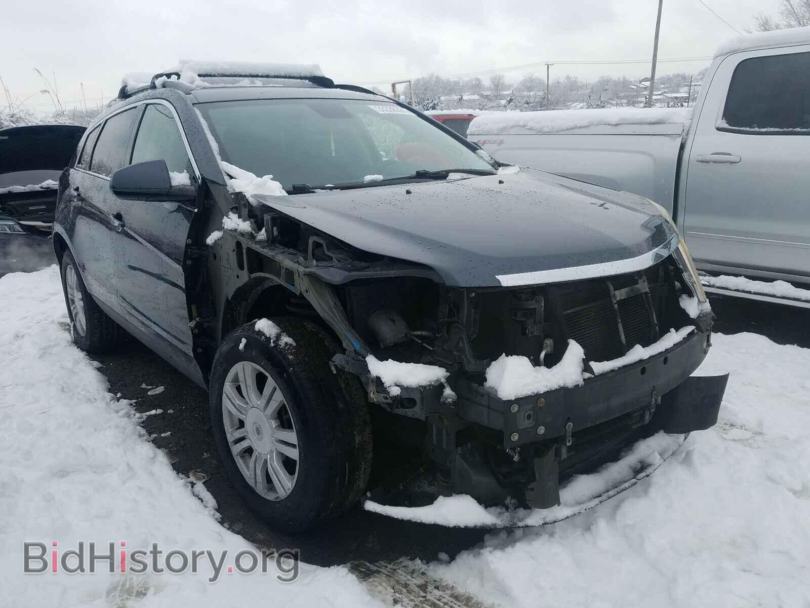 Фотография 3GYFNGEY2AS595330 - CADILLAC SRX 2010
