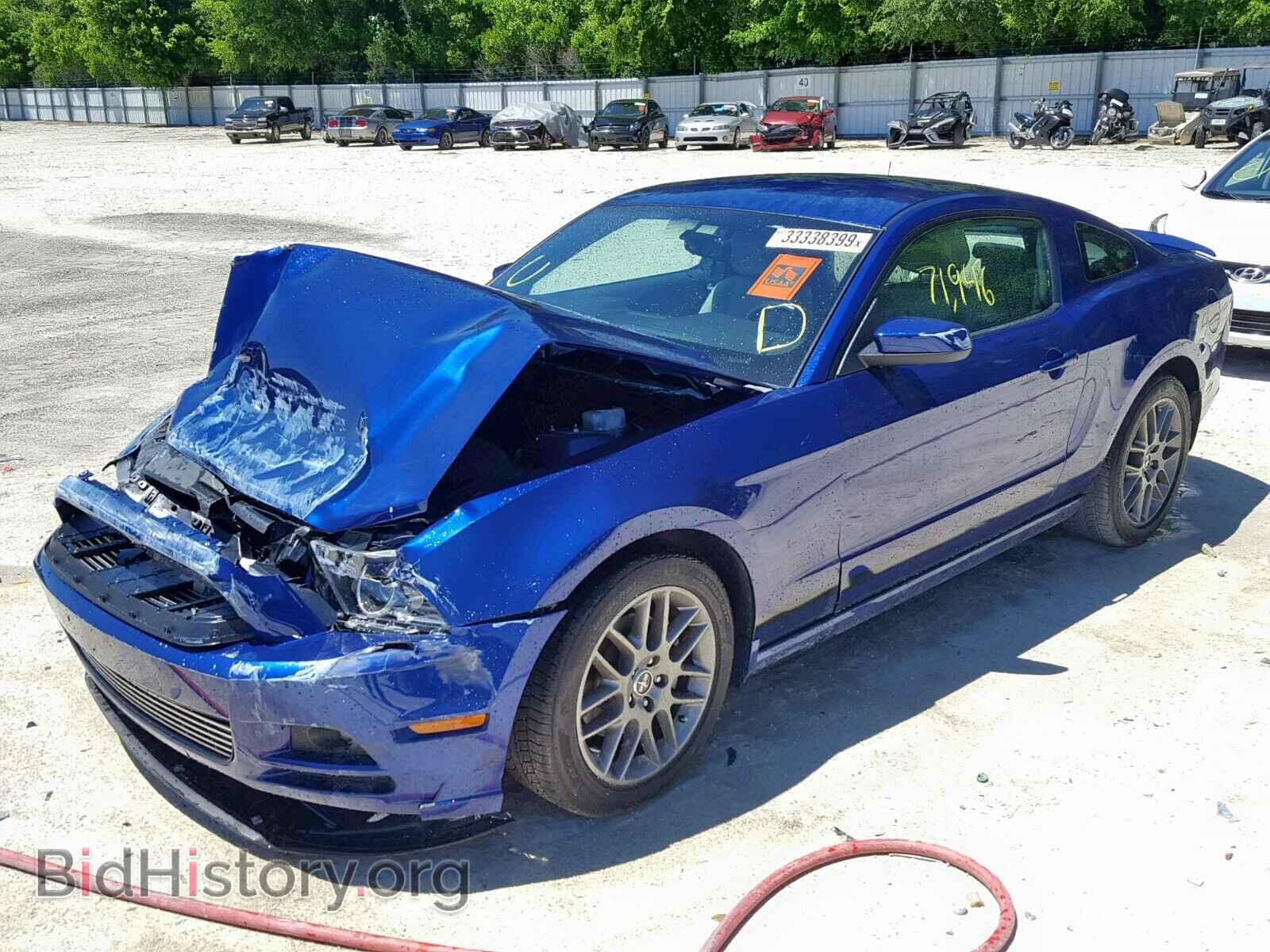 2013 FORD MUSTANG - VIN: 1ZVBP8AM0D5252275 - Фото 2
