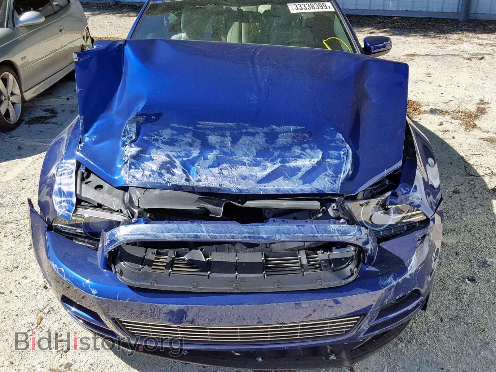 2013 FORD MUSTANG - VIN: 1ZVBP8AM0D5252275 - Фото 7